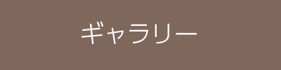 ギャラリー